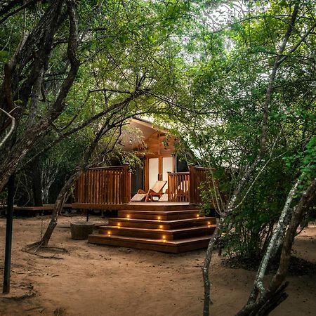 Leopard Reach Yala By Seven Angels Hotell Tissamaharama Eksteriør bilde