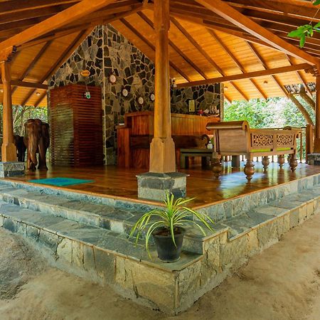 Leopard Reach Yala By Seven Angels Hotell Tissamaharama Eksteriør bilde