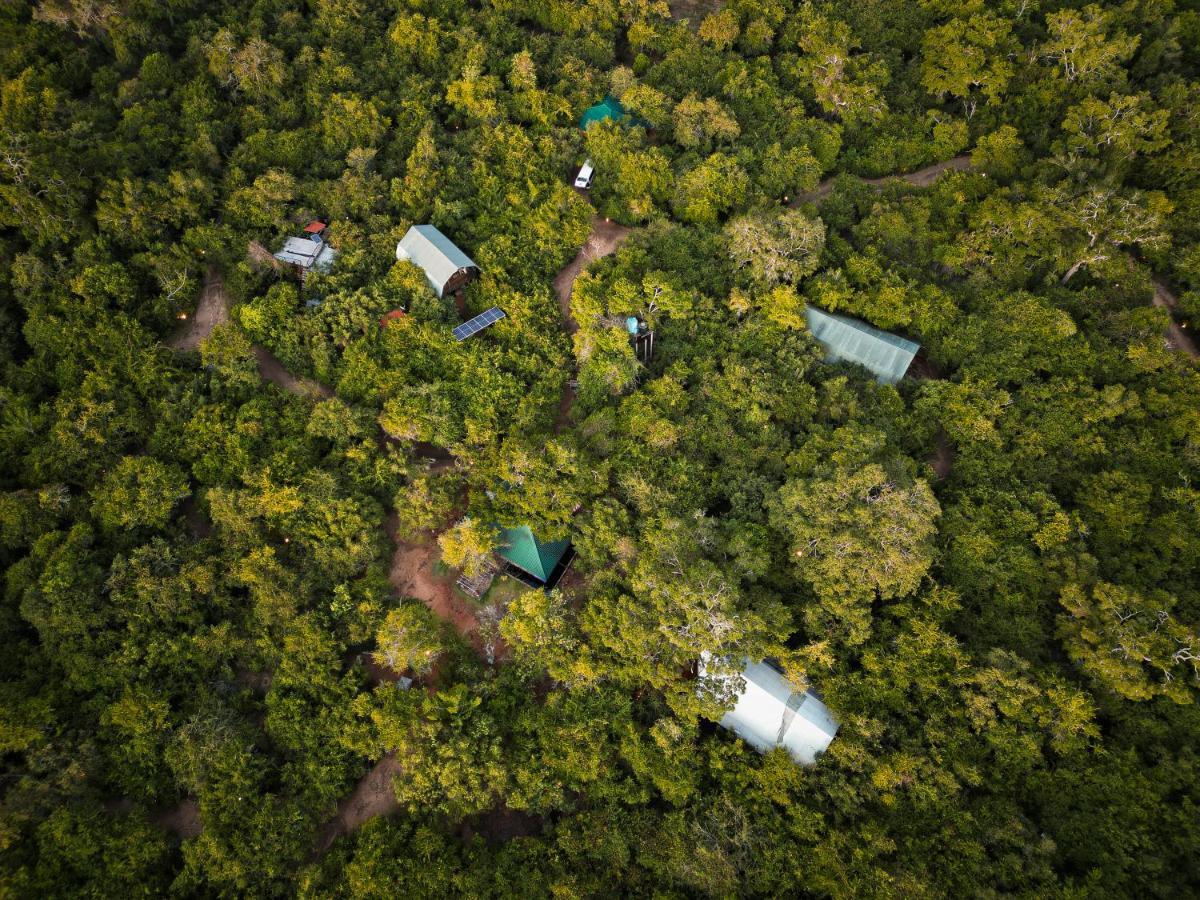 Leopard Reach Yala By Seven Angels Hotell Tissamaharama Eksteriør bilde
