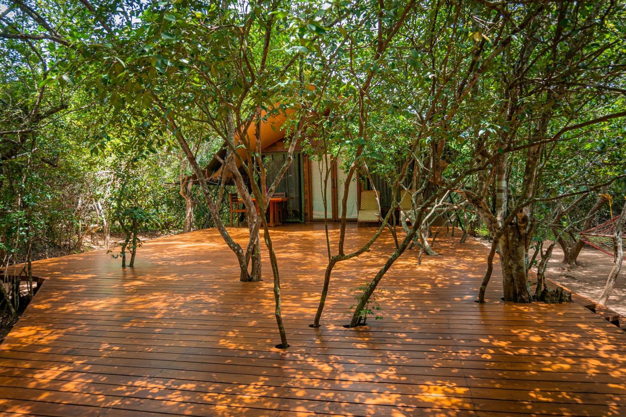 Leopard Reach Yala By Seven Angels Hotell Tissamaharama Eksteriør bilde
